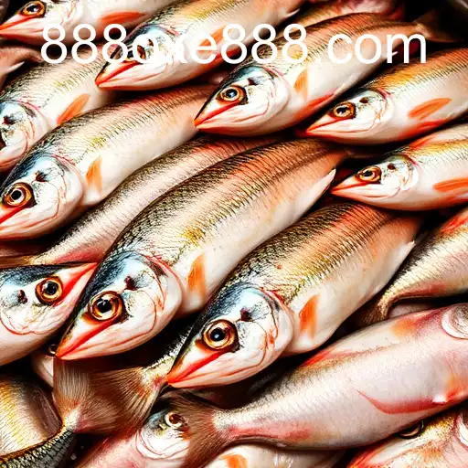 VIP Service 888oxe.com - 24/7 Support and Exclusive Benefits